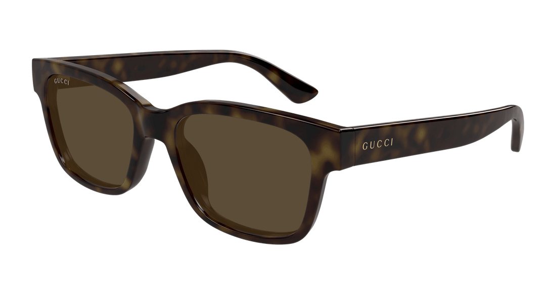 GUCCI GG1716S 002 54
