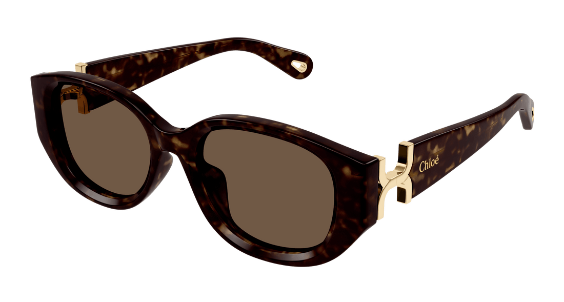 Gafas de sol chloé ch0237sk 002 femenino talla 54mm - Vista principal