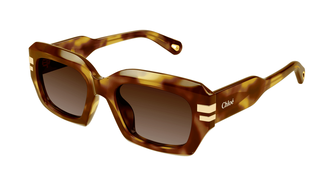 Sonnenbrillen chloé ch0256s 002 havana rectangular / squared femenino größe 53mm - Hauptansicht