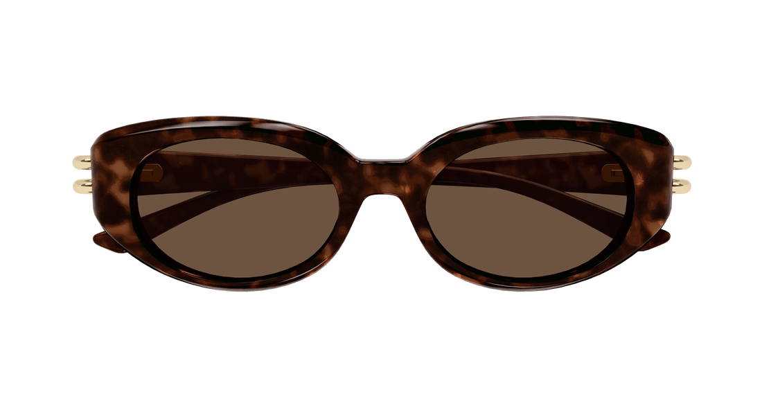 Óculos de sol alexander mcqueen am0469s 002 havana round/oval/panthos femenino tamanho 50mm - Vista de detalhe