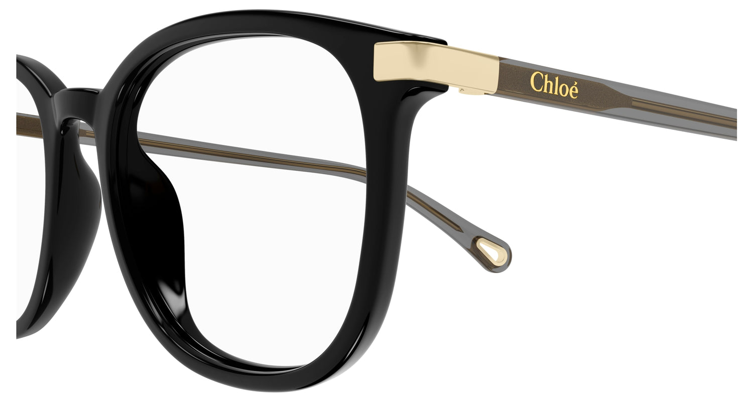 CHLOÉ CH0247OA 001 54