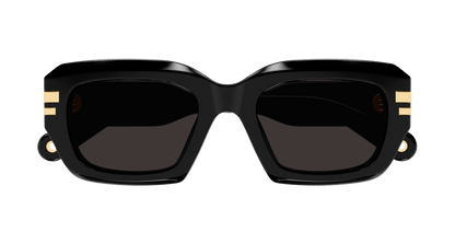 CHLOÉ CH0256S 001 53