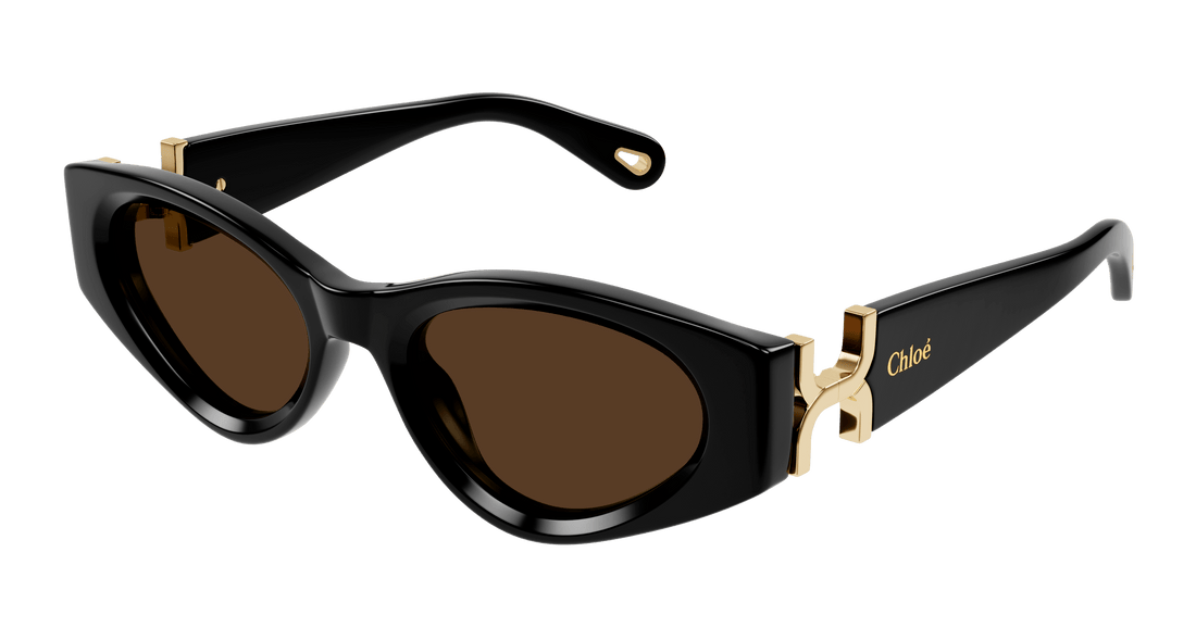 Sonnenbrillen chloé ch0259s 001 negro cat eye femenino größe 52mm - Hauptansicht