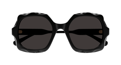 CHLOÉ CH0226S 005 53