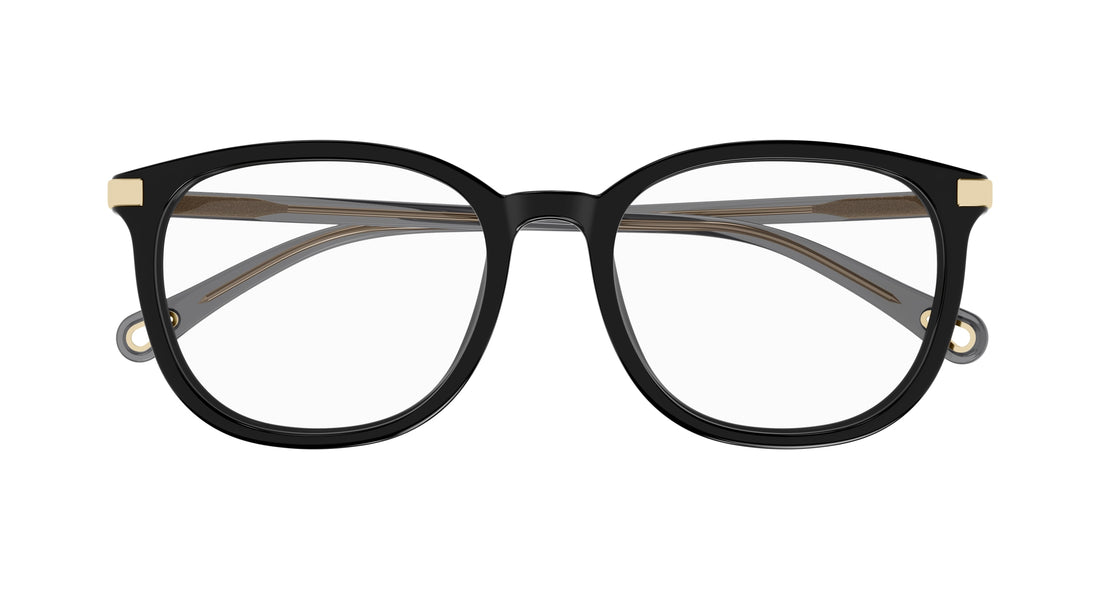 CHLOÉ CH0247OA 001 54