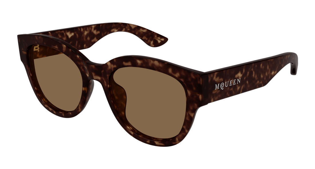 Sonnenbrillen alexander mcqueen am0509sa 002 havana cat eye femenino größe 55mm - Hauptansicht