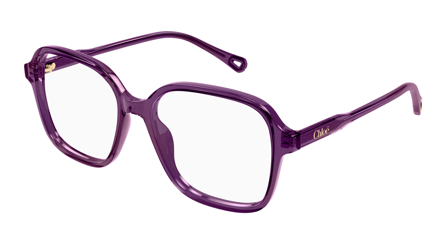 CHLOÉ CH0313O 004 54