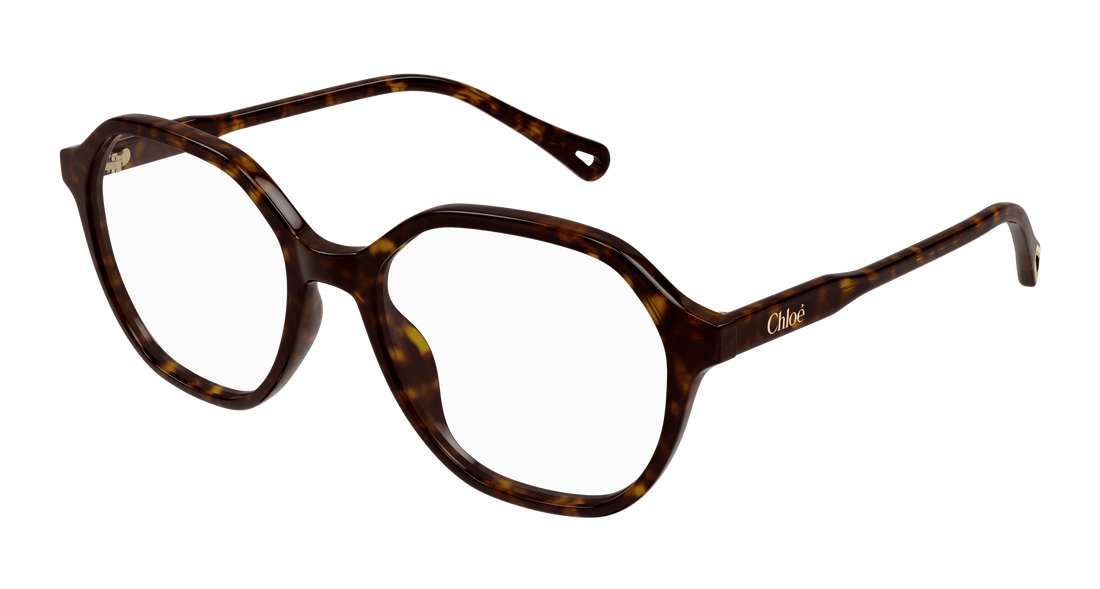 Prescription glasses chloé ch0312o 002 havana square femenino size 53mm - Main view