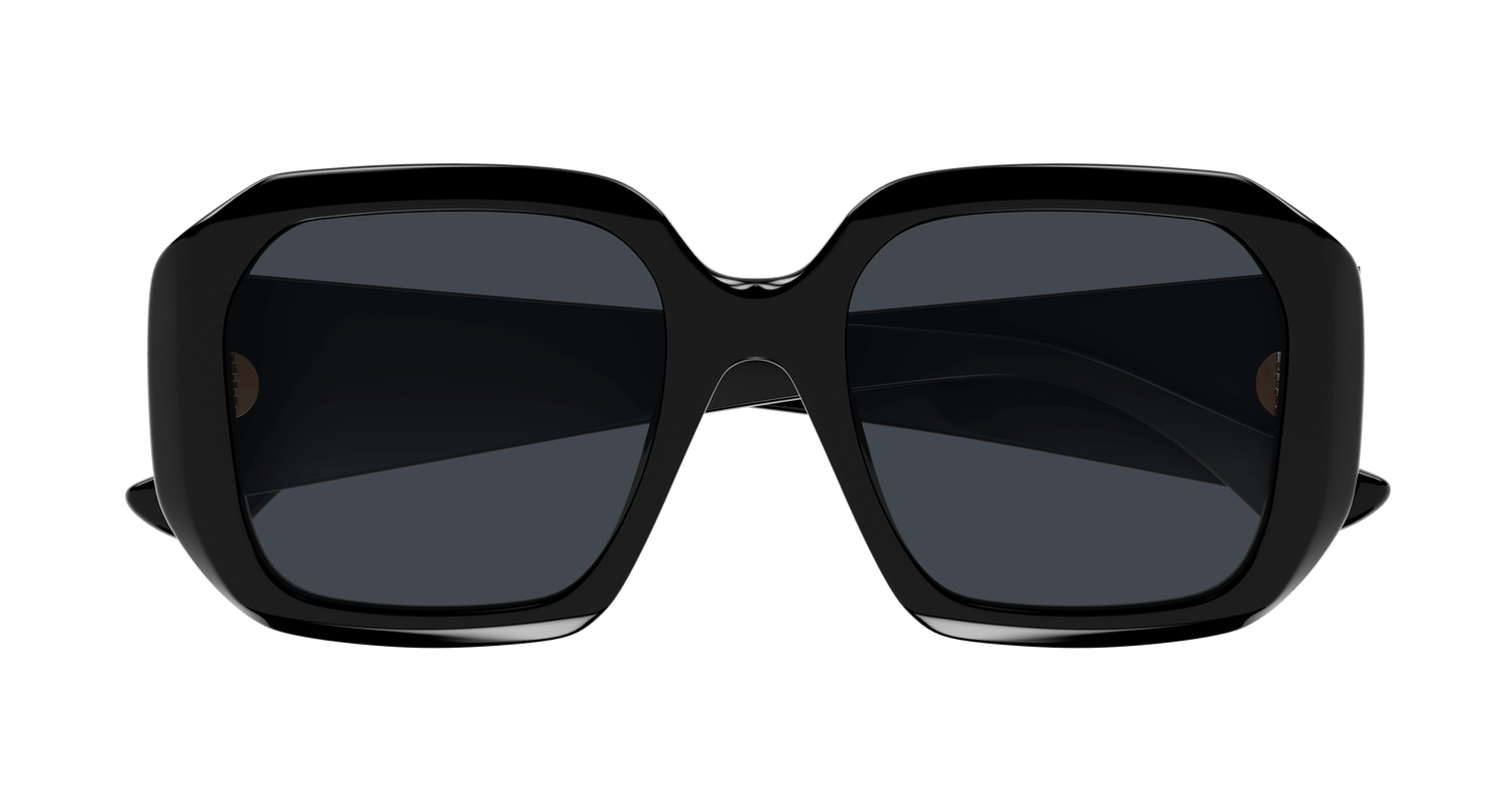 CHLOÉ CH0300S 001 54