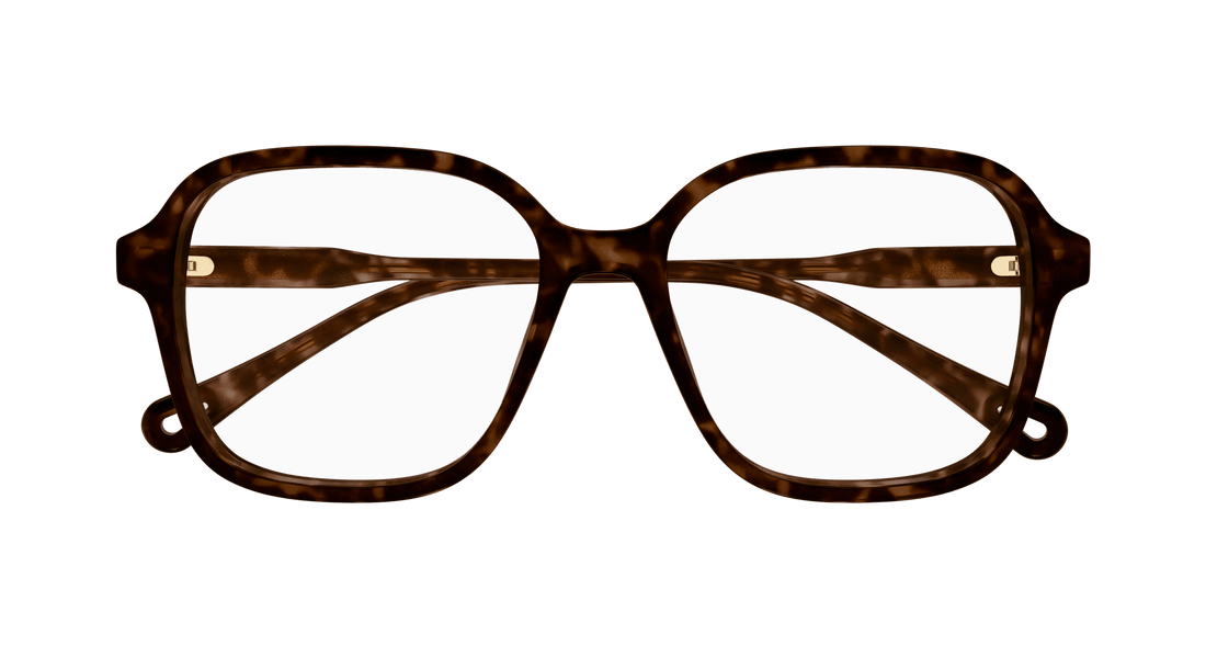 Dioptrijske naočale chloé ch0313o 002 havana square femenino veličina 54mm - Detaljni prikaz