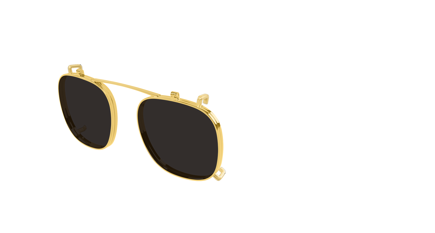 Bottega Veneta BV1429S 001 49