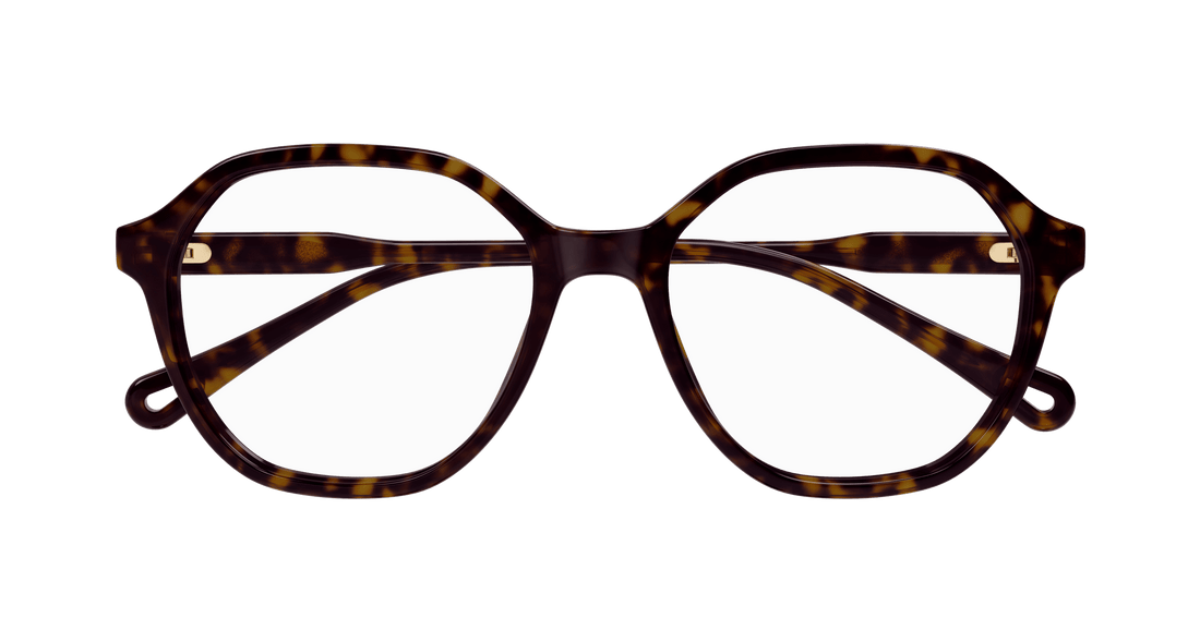 Dioptrijske naočale chloé ch0312o 002 havana square femenino veličina 53mm - Detaljni prikaz