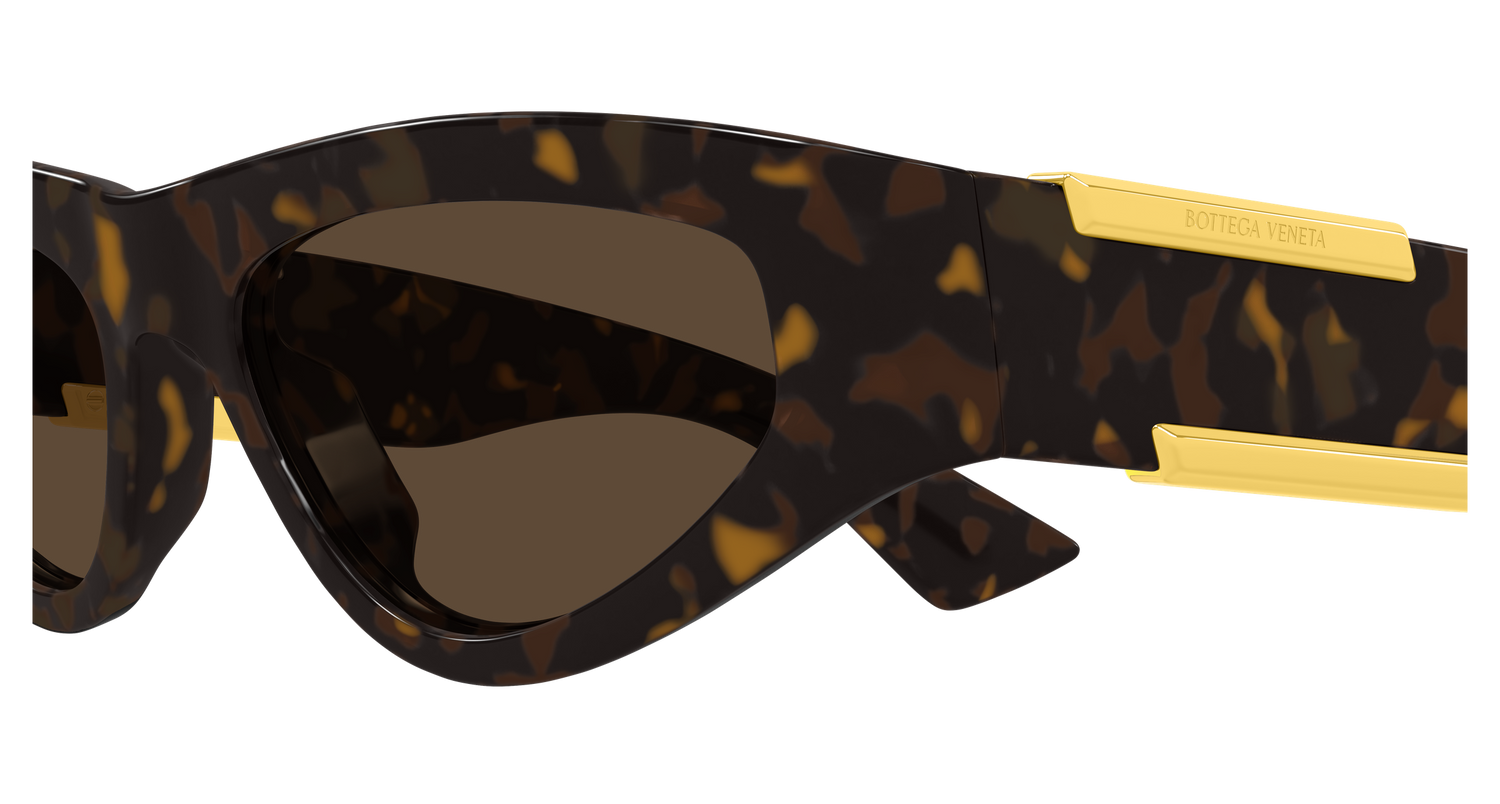 Bottega Veneta BV1407S 002 53