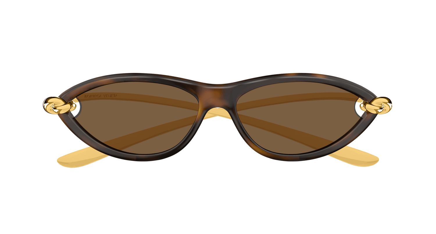 Bottega Veneta BV1390S 002 56