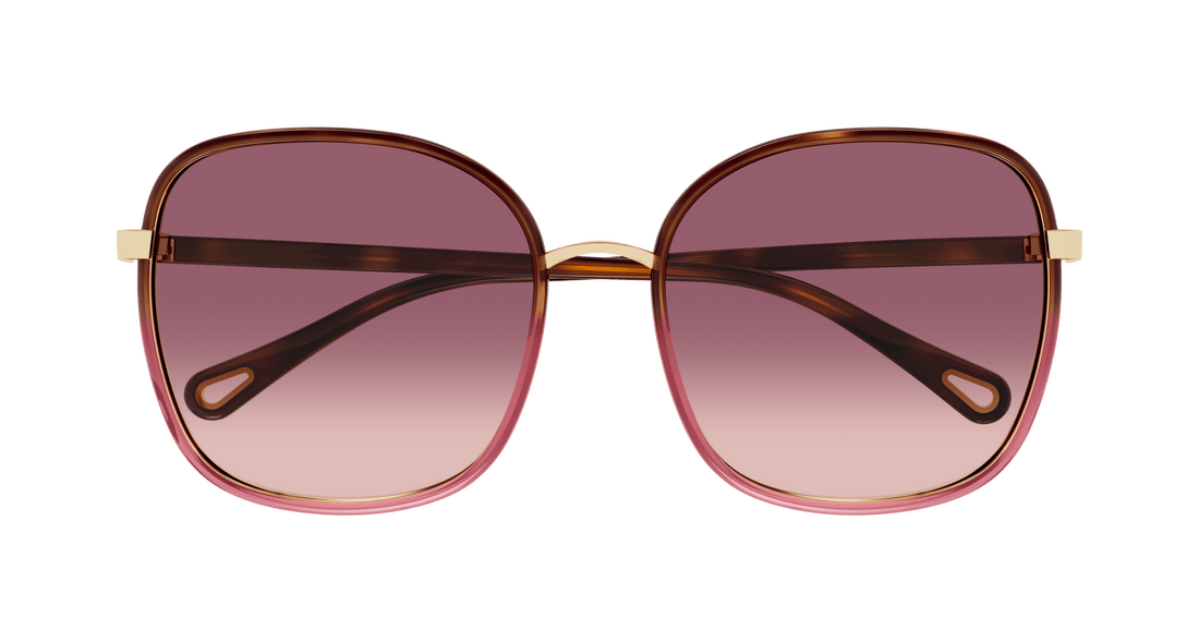 Occhiali da sole chloé ch0031s 018 havana square femenino taglia 59mm - Vista dettagliata