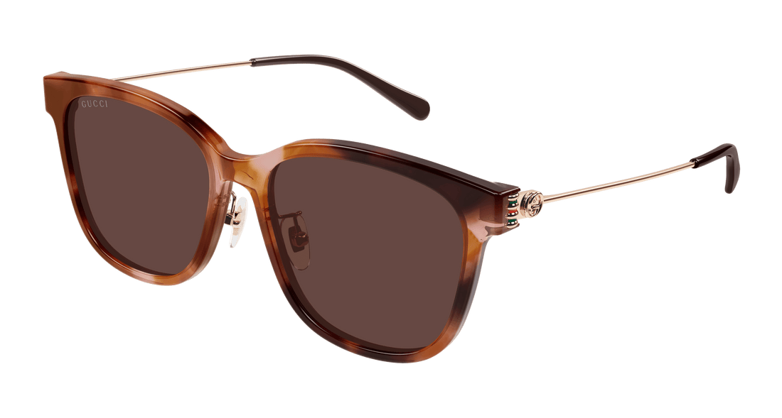 Sonnenbrillen gucci gg1884sk 004 havana round femenino größe 56mm - Hauptansicht