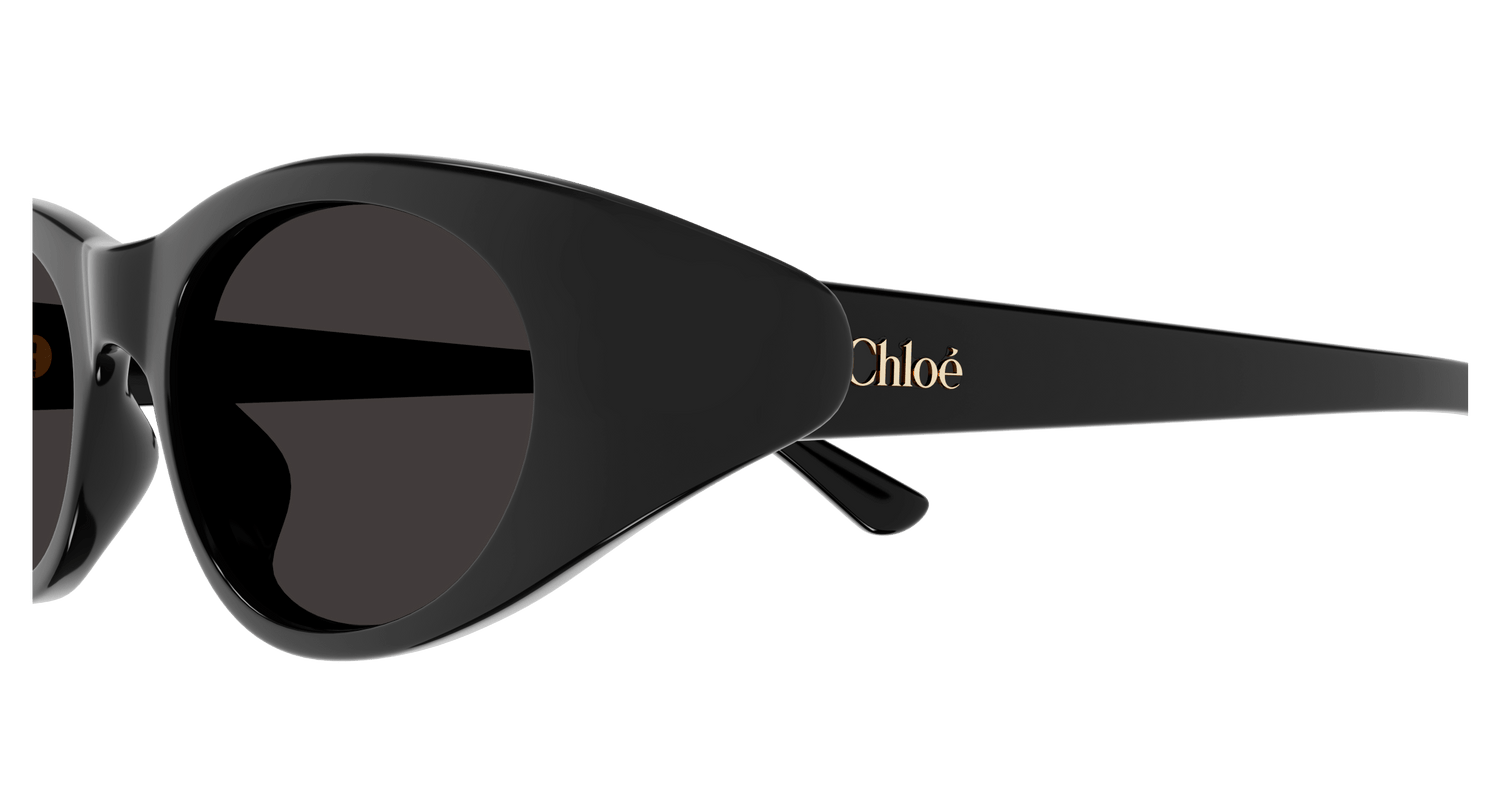 CHLOÉ CH0279S 001 51