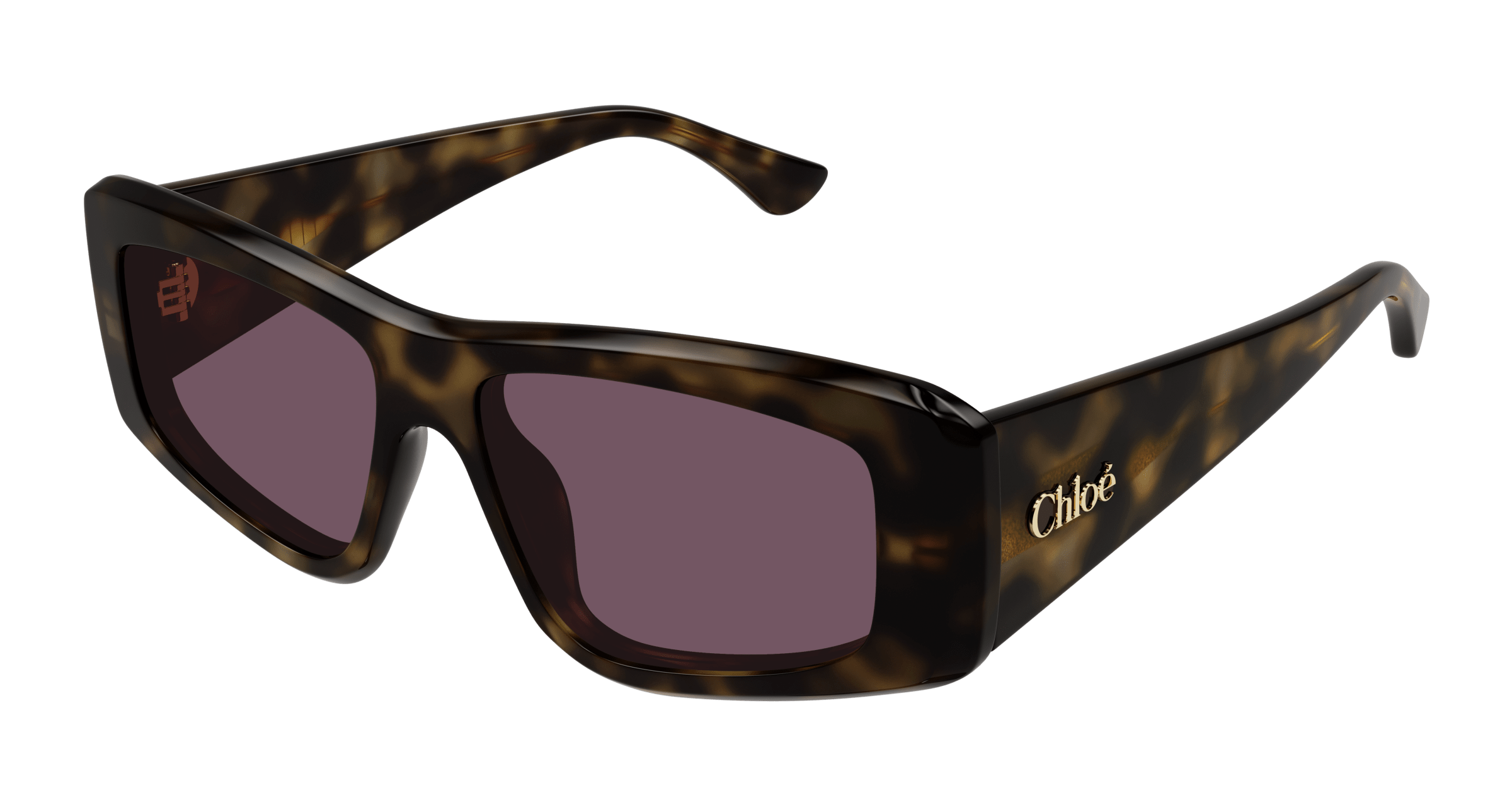 CHLOÉ CH0299S 002 55