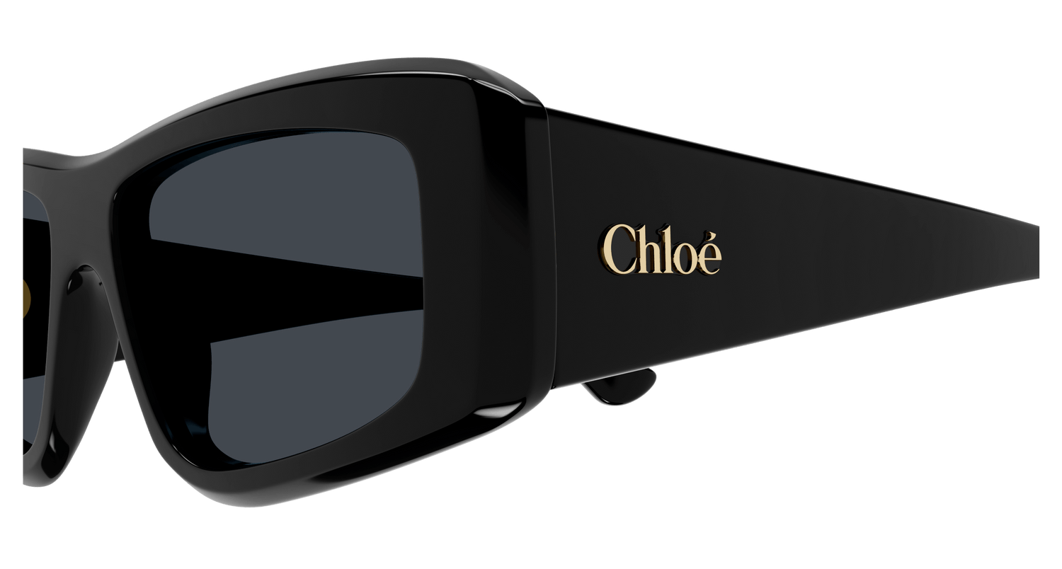 CHLOÉ CH0299S 001 55