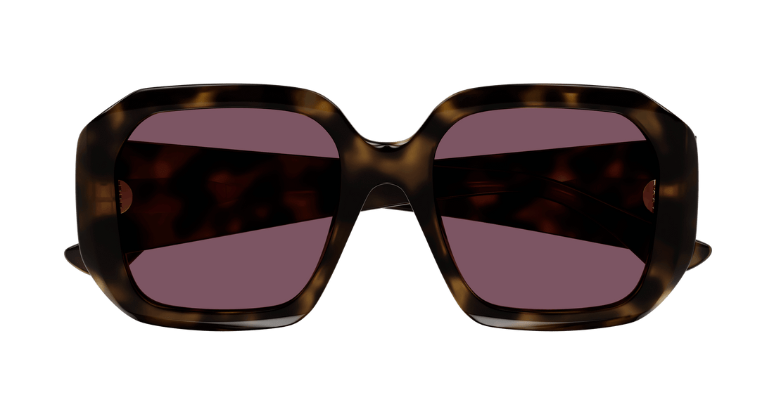 Sonnenbrillen chloé ch0300s 002 havana square femenino größe 54mm - Detailansicht