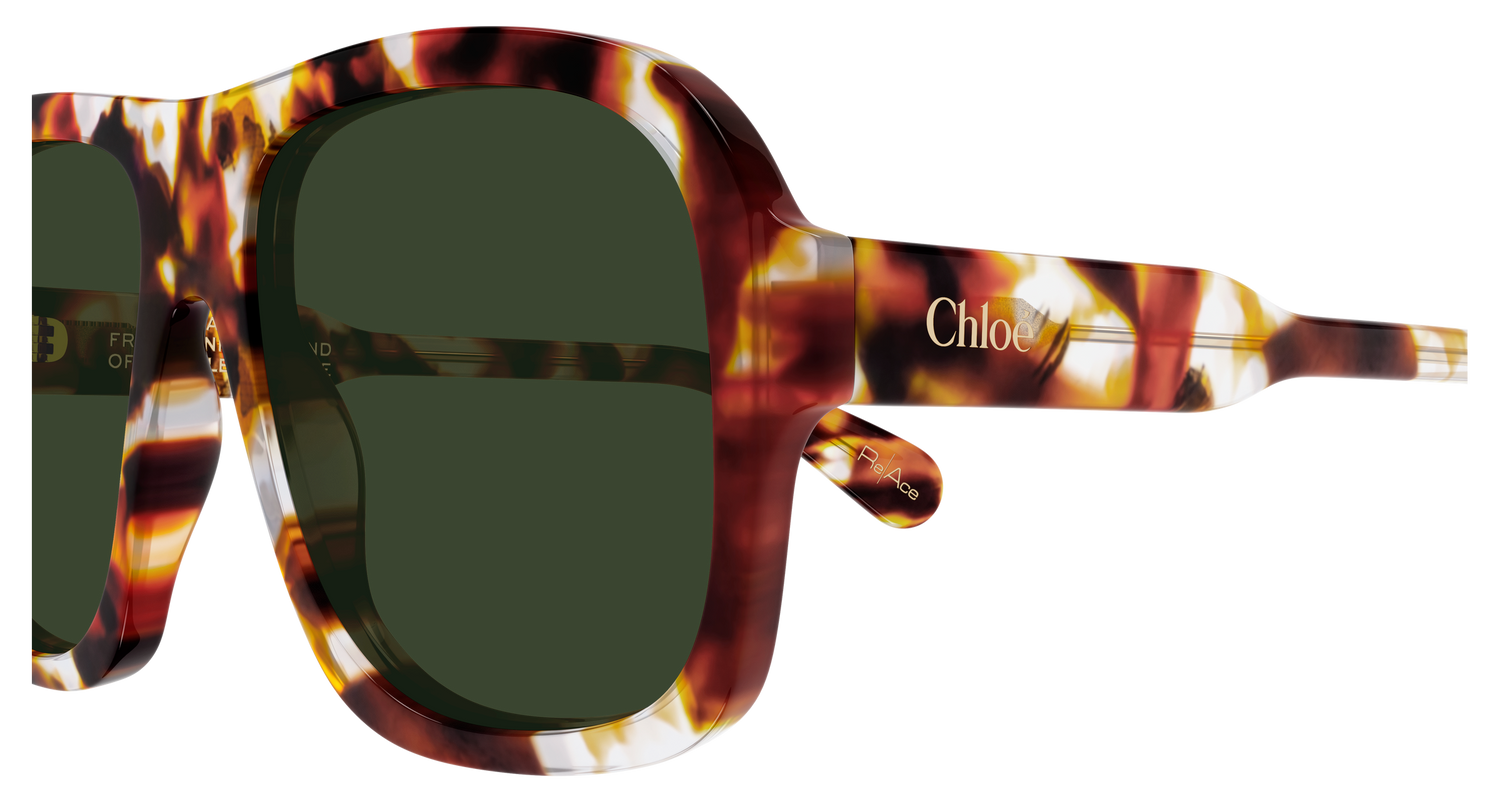 CHLOÉ CH0331S 004 58
