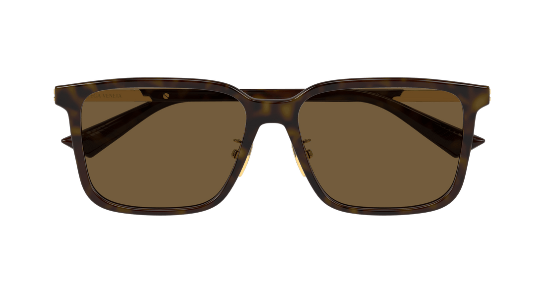Óculos de sol bottega veneta bv1374sk 006 havana square masculino tamanho 57mm - Vista de detalhe