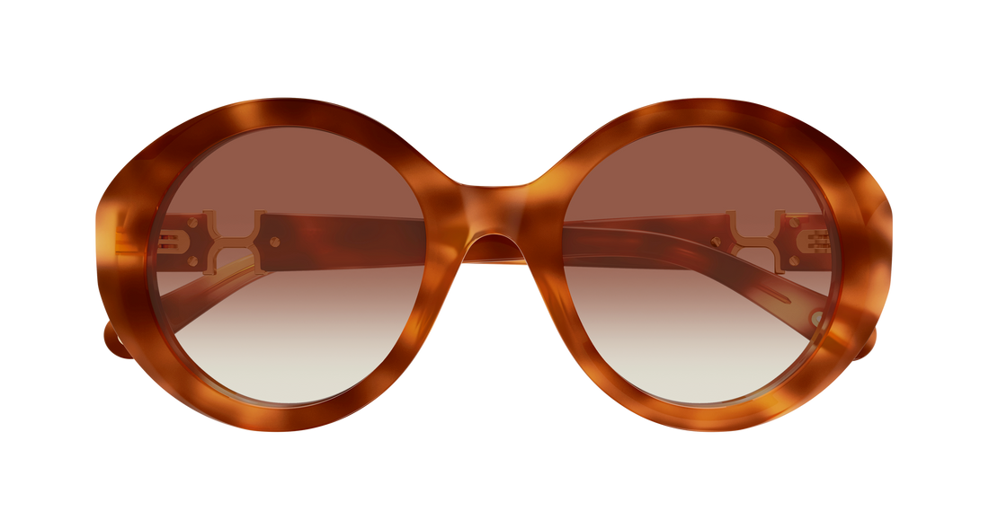 Sunglasses chloé ch0332s 003 havana round/oval/panthos femenino size 53mm - Detailed view