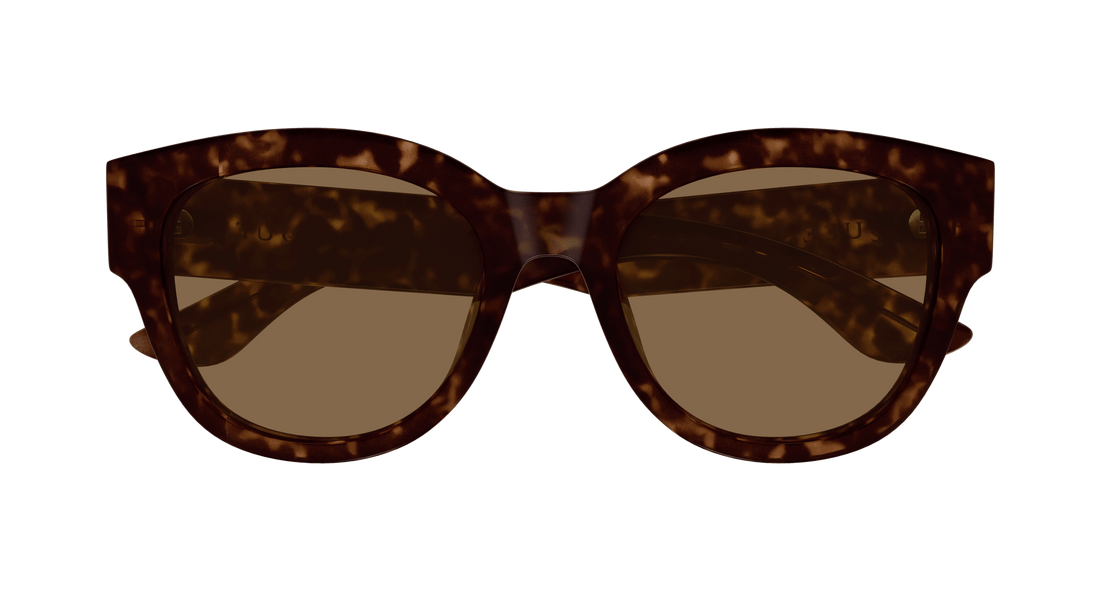 Occhiali da sole alexander mcqueen am0509sa 002 havana cat eye femenino taglia 55mm - Vista dettagliata