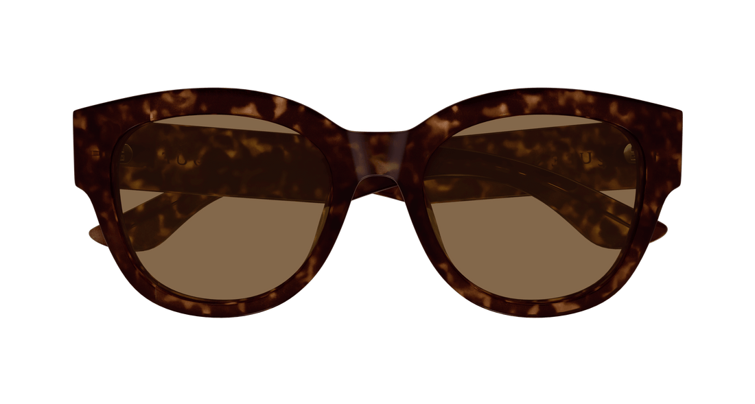 Sonnenbrillen alexander mcqueen am0509sa 002 havana cat eye femenino größe 55mm - Detailansicht