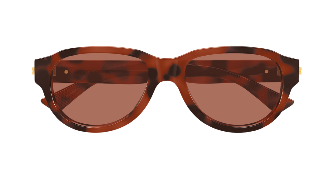 Óculos de sol bottega veneta bv1410s 002 havana round/oval/panthos masculino tamanho 55mm - Vista de detalhe