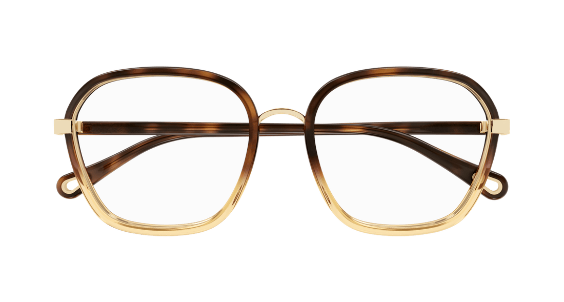 Óculos graduados chloé ch0309o 002 havana square femenino tamanho 54mm - Vista de detalhe