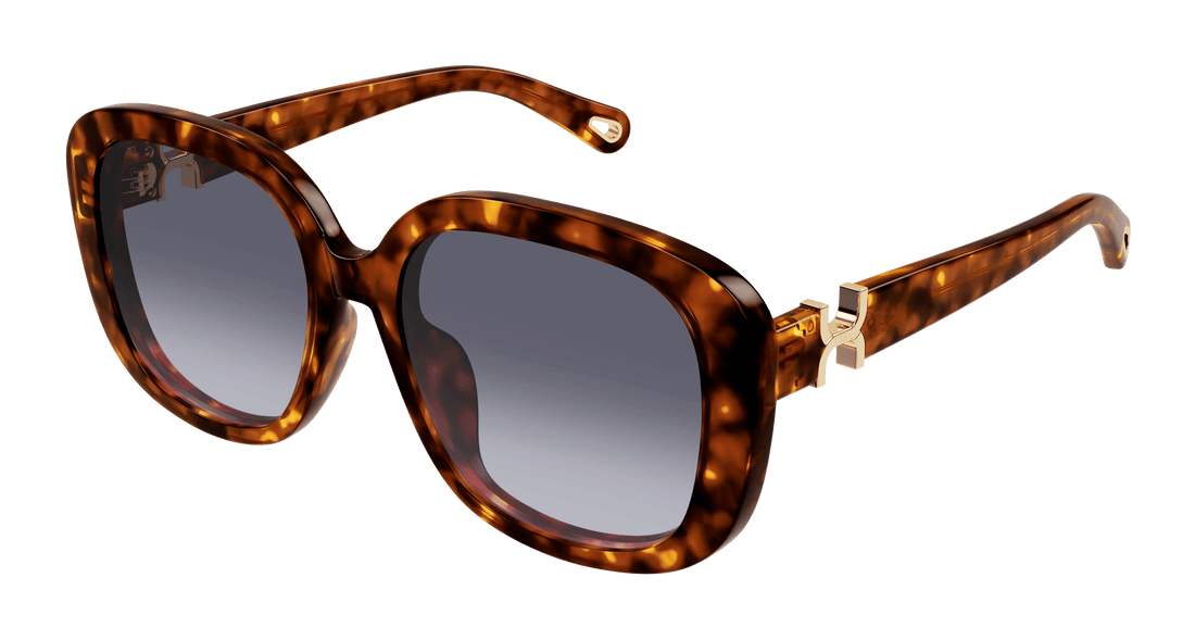 Sonnenbrillen chloé ch0303sk 002 havana square femenino größe 56mm - Hauptansicht
