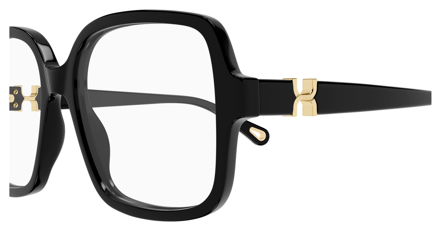CHLOÉ CH0335O 001 54