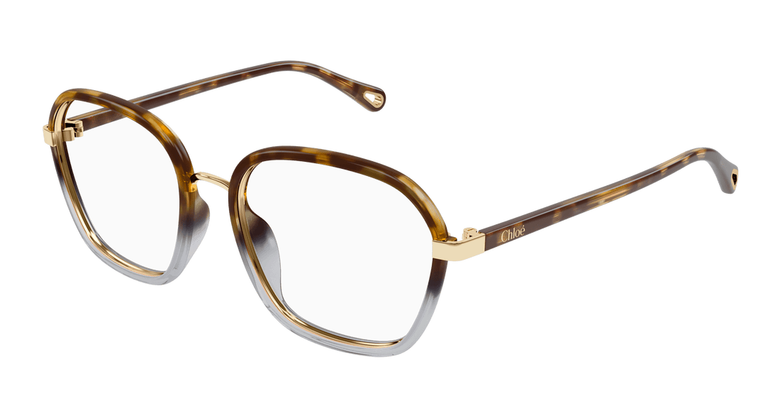 Óculos graduados chloé ch0309o 003 havana square femenino tamanho 54mm - Vista principal