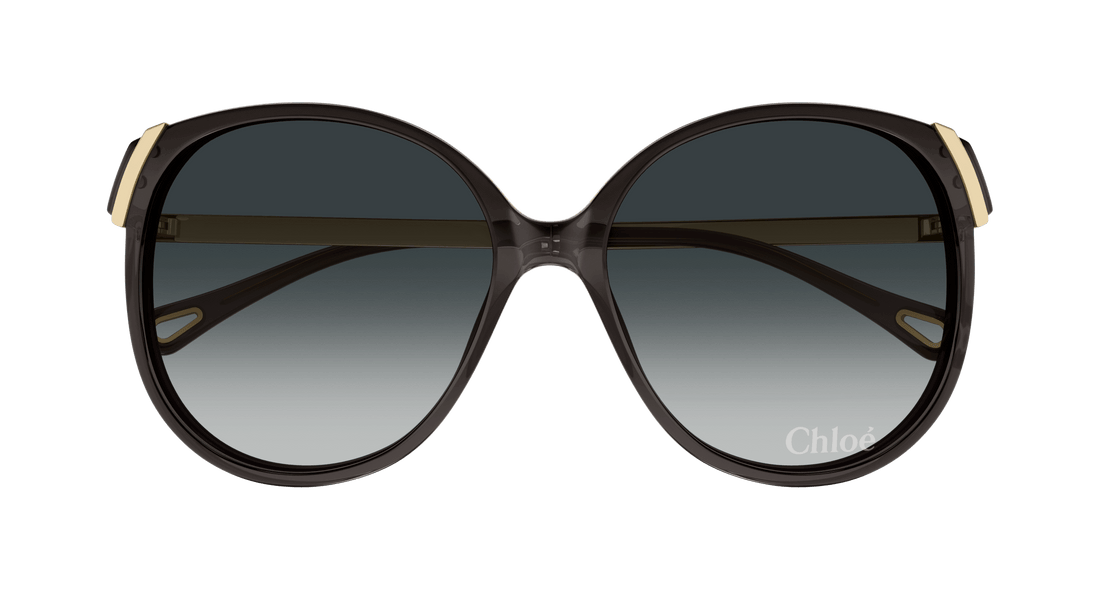 CHLOÉ CH0285S 001 58