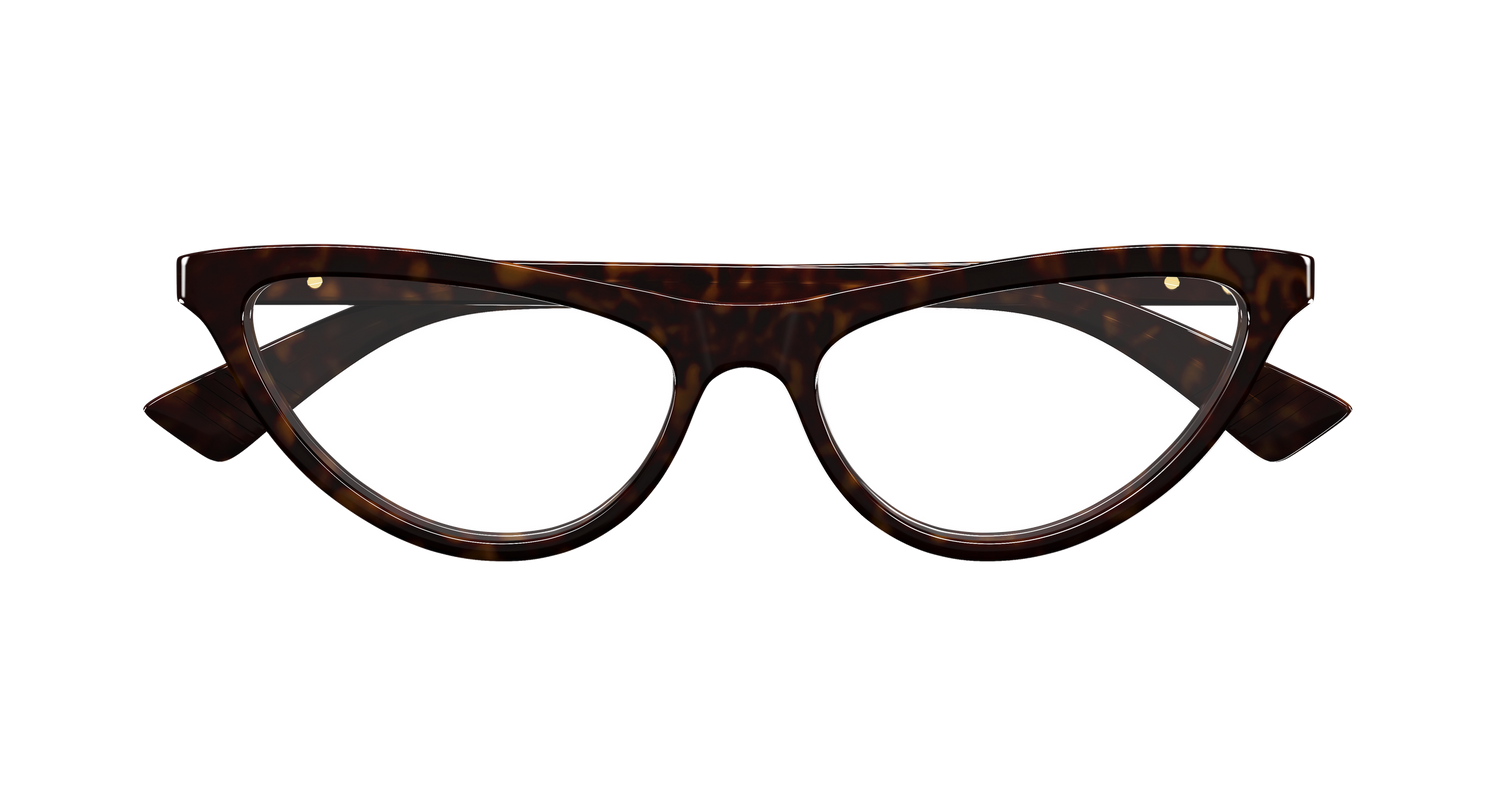 Bottega Veneta BV1416O 002 55