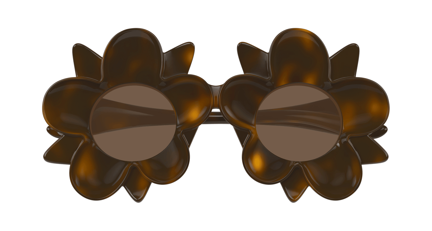 Bottega Veneta BV1399S 008 1