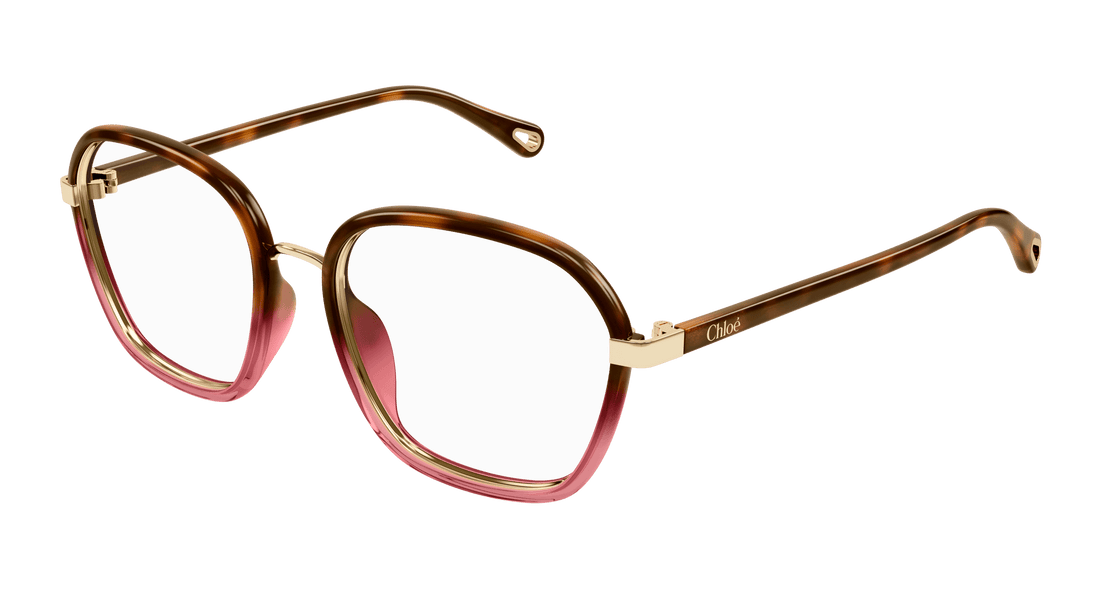 Óculos graduados chloé ch0309o 001 havana square femenino tamanho 54mm - Vista principal