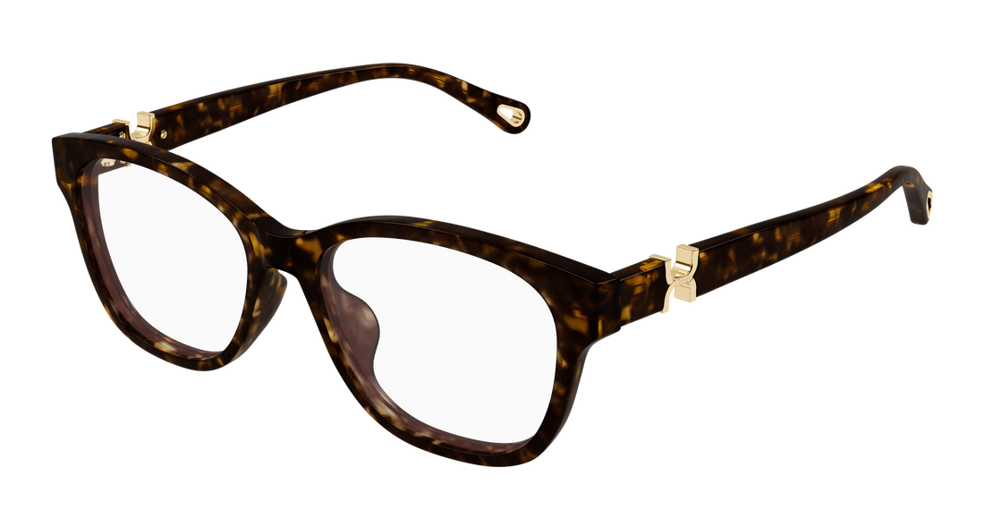 Briller chloé ch0336oa 002 havana cat eye femenino størrelse 53mm - Hovedvisning