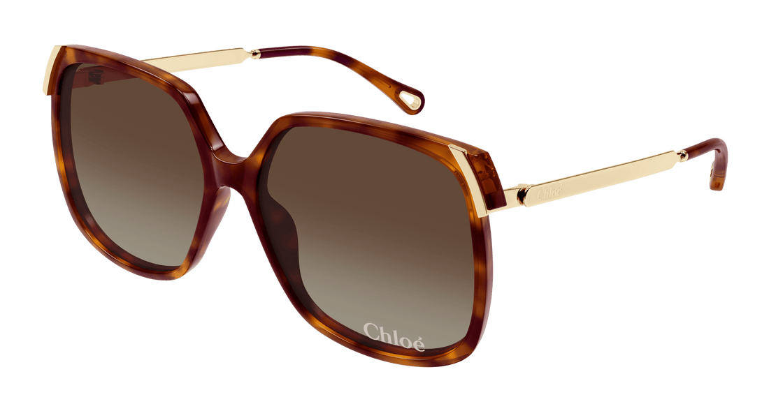 Sunglasses chloé ch0286s 002 havana square femenino size 60mm - Main view