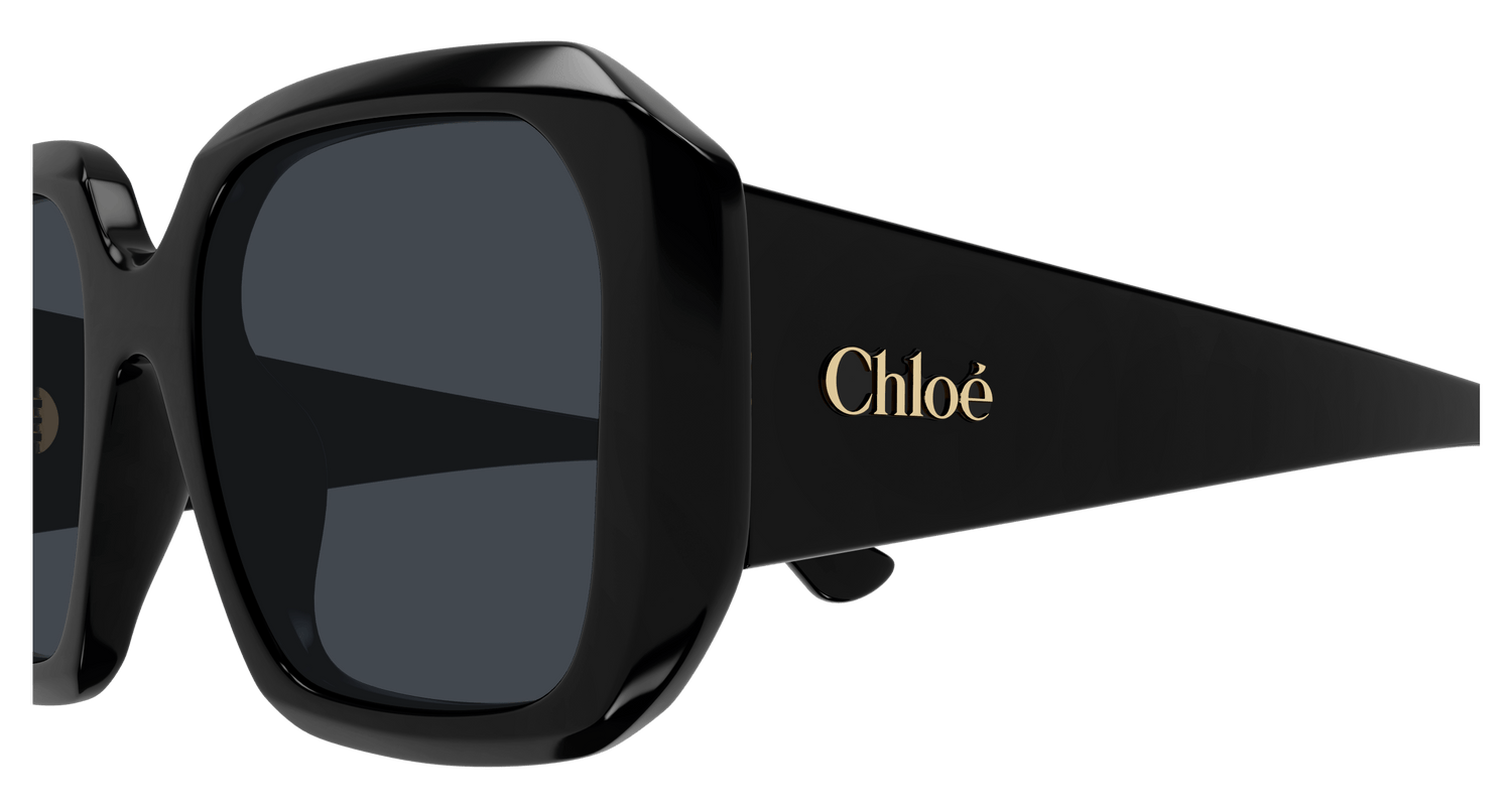 CHLOÉ CH0300S 001 54