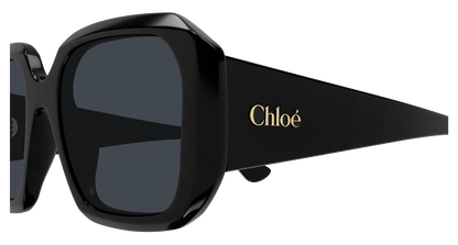 CHLOÉ CH0300S 001 54