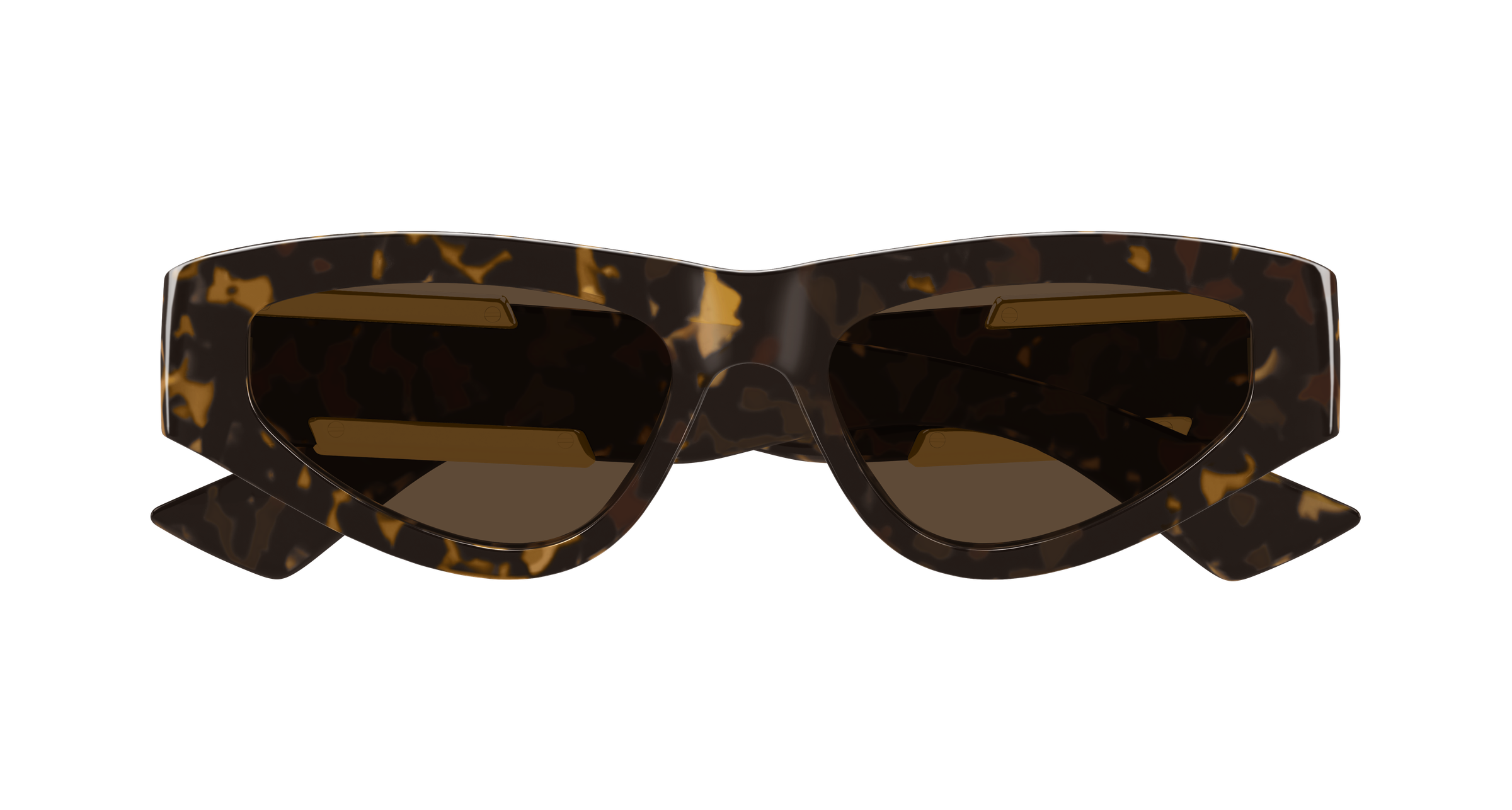 Bottega Veneta BV1407S 002 53