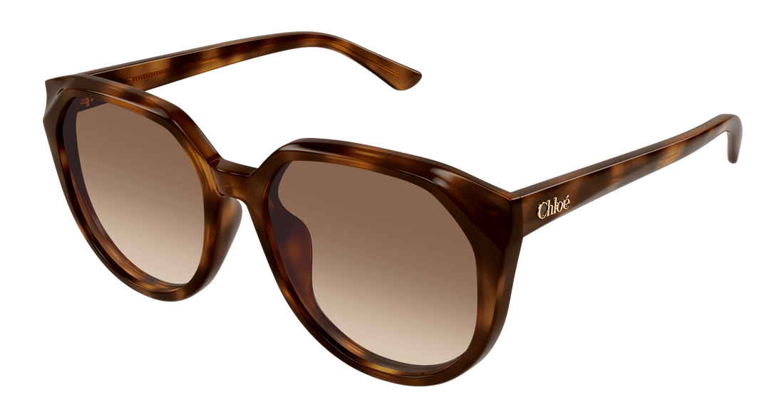 Sonnenbrillen chloé ch0291sk 003 havana square femenino größe 58mm - Hauptansicht