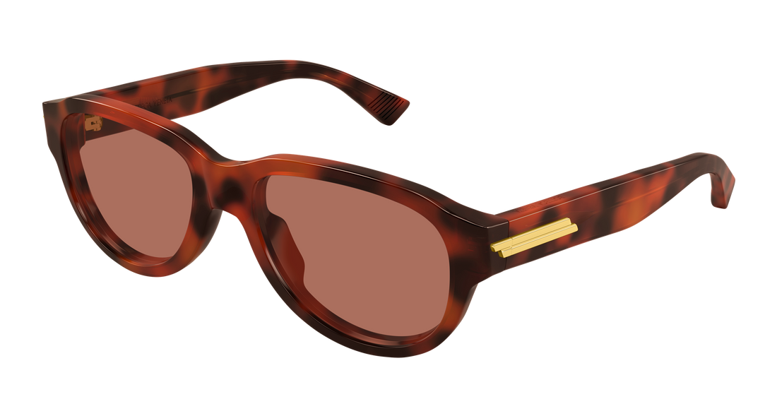 Solglasögon bottega veneta bv1410s 002 havana round/oval/panthos masculino storlek 55mm - Huvudvy