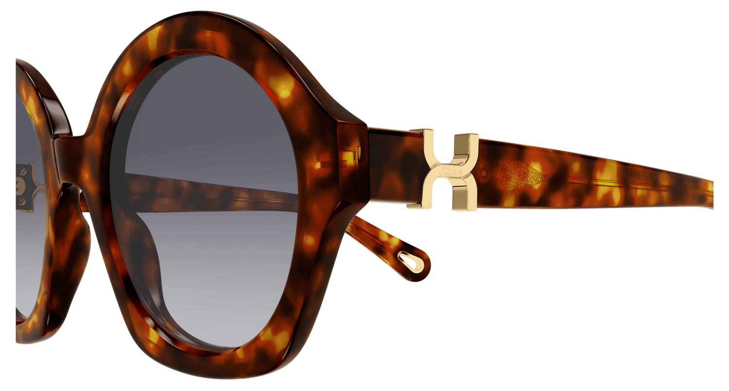 CHLOÉ CH0302S 002 53