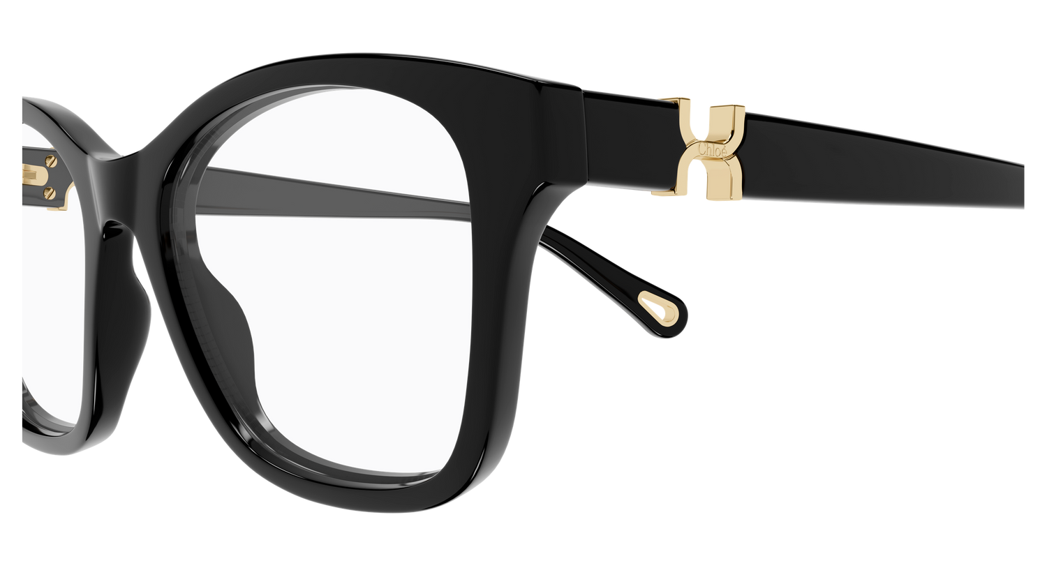 CHLOÉ CH0334O 001 50