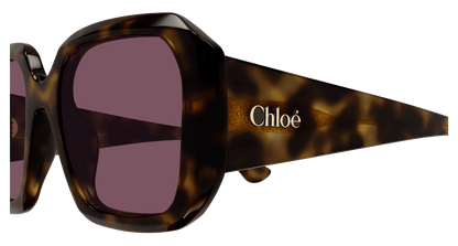 CHLOÉ CH0300S 002 54
