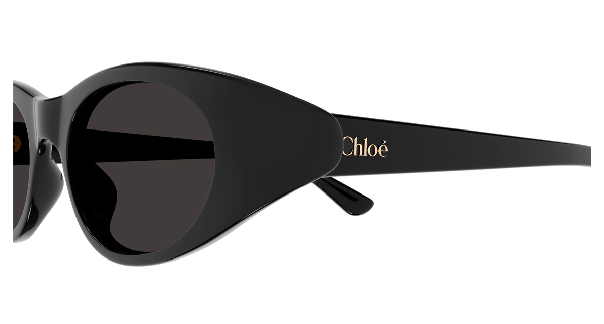 CHLOÉ CH0279S 001 51