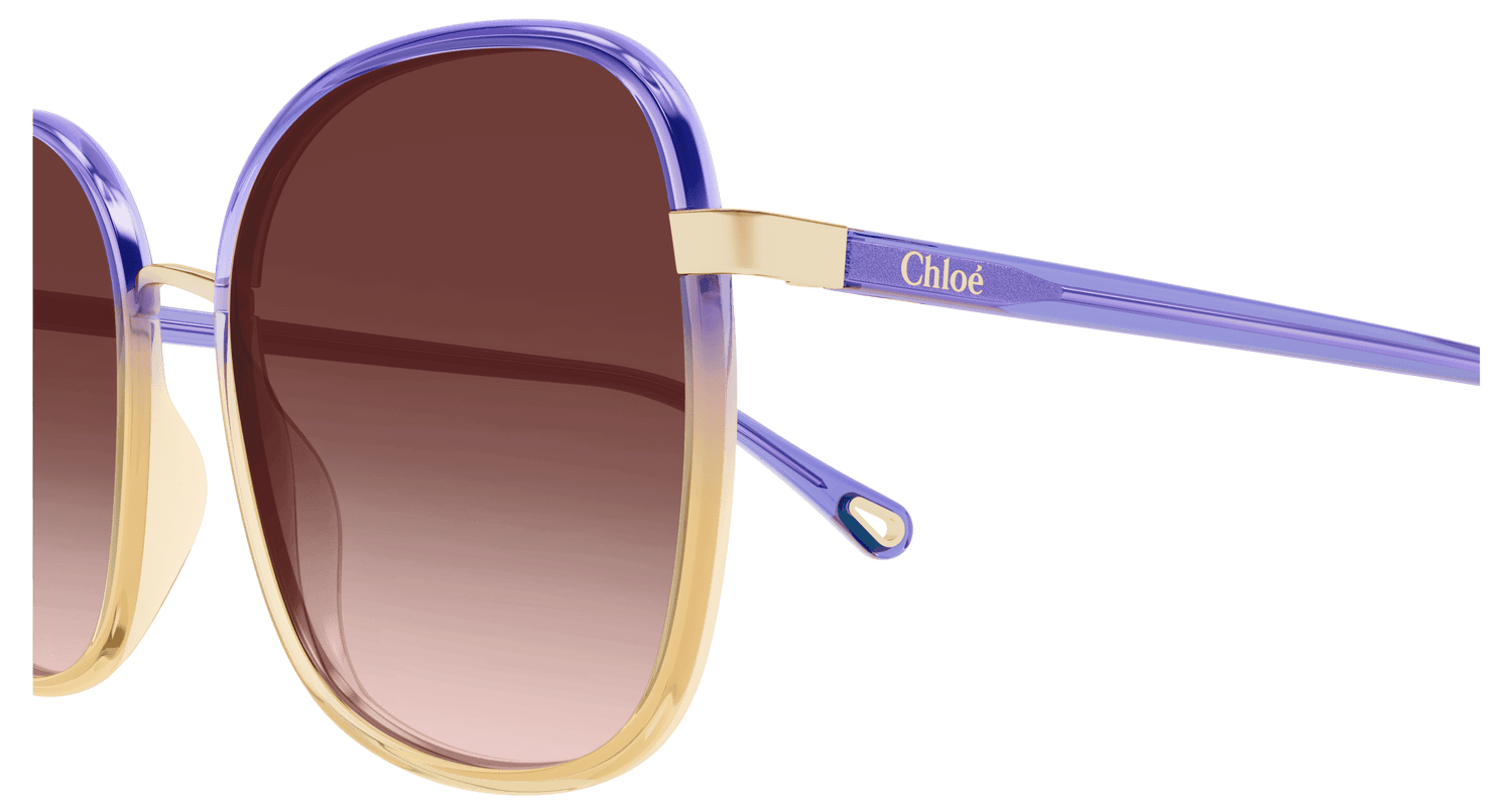 CHLOÉ CH0031S 017 59